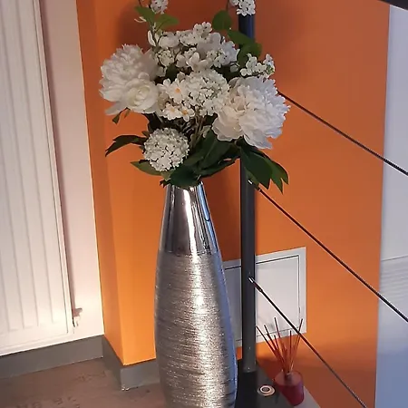 Isabelle's Charming Roof! *